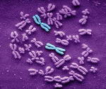Cromosoma artificial destacado con marcas de agua